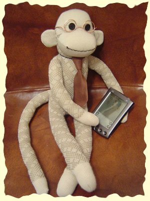 Sock Monkey Fun!